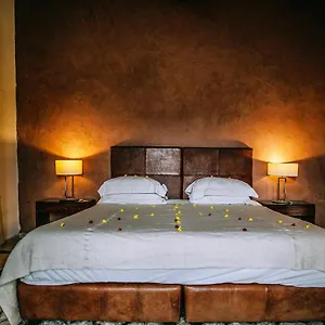 https://hotel-suraj-legacy-delhi-airport.top-gurgaonhotels.com